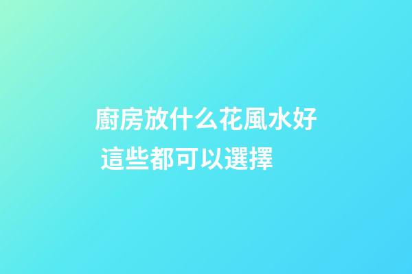 廚房放什么花風水好 這些都可以選擇